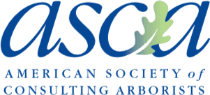 asca