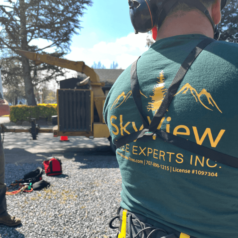 Residential tree care and maintenance services in Napa County CA