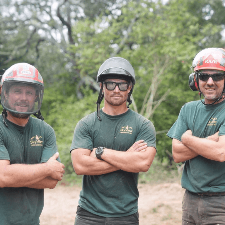 SkyView Tree Experts Tree Service Team in Santa Rosa CA