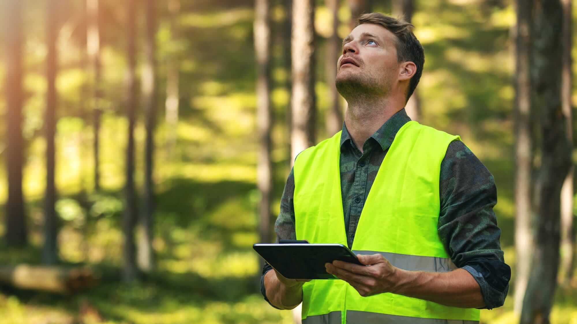 Consulting and Mapping