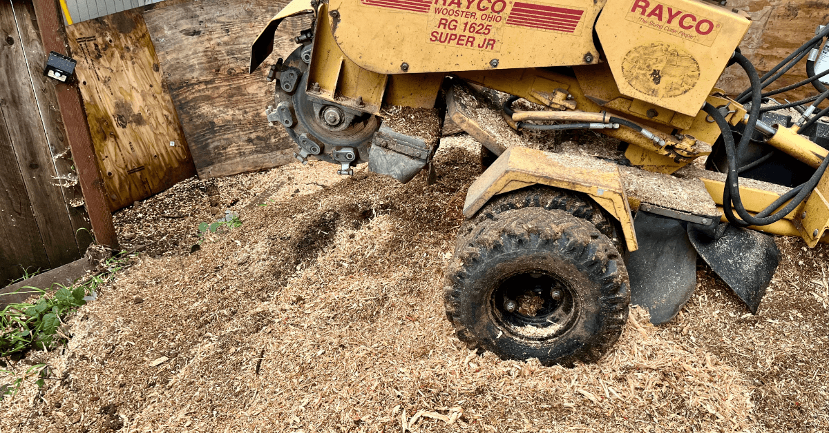 Stump Grinding and Removal Services in Rohnert Park, Santa Rosa, Petaluma, and Nearby Areas