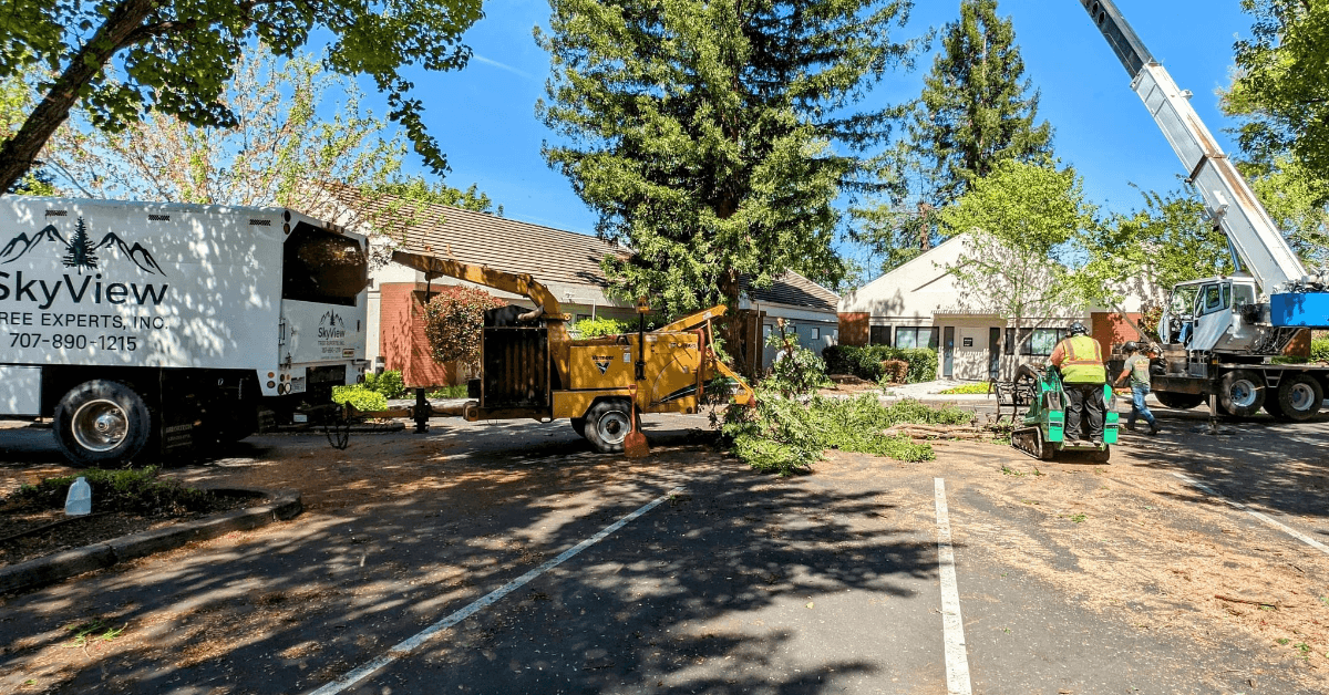 Tree Service Company