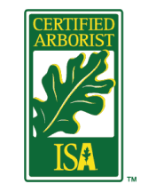Certified Arborist