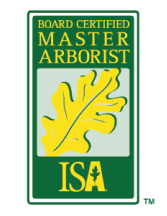 Master arborist