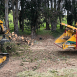 Pile of fallen branches and limbs after a Sonoma County storm