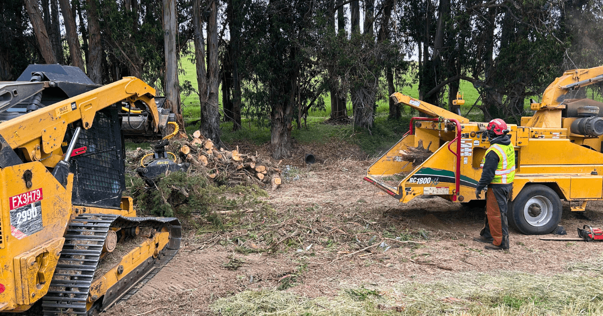 Pile of fallen branches and limbs after a Sonoma County storm