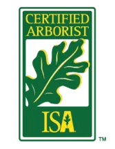 Certified Arborist