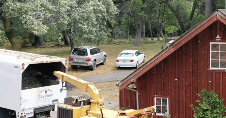 Tree Removal Sonoma, CA