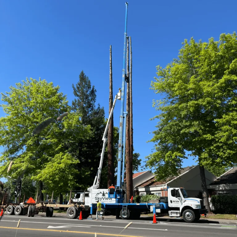 Crane-assisted emergency tree service in Sonoma CA