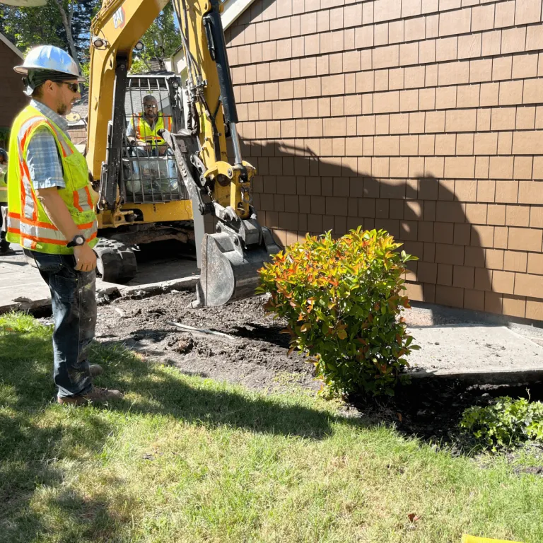 Tree Removal in Healdsburg, CA
