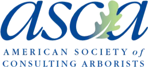 asca