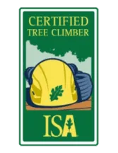 Certified Tree Climber