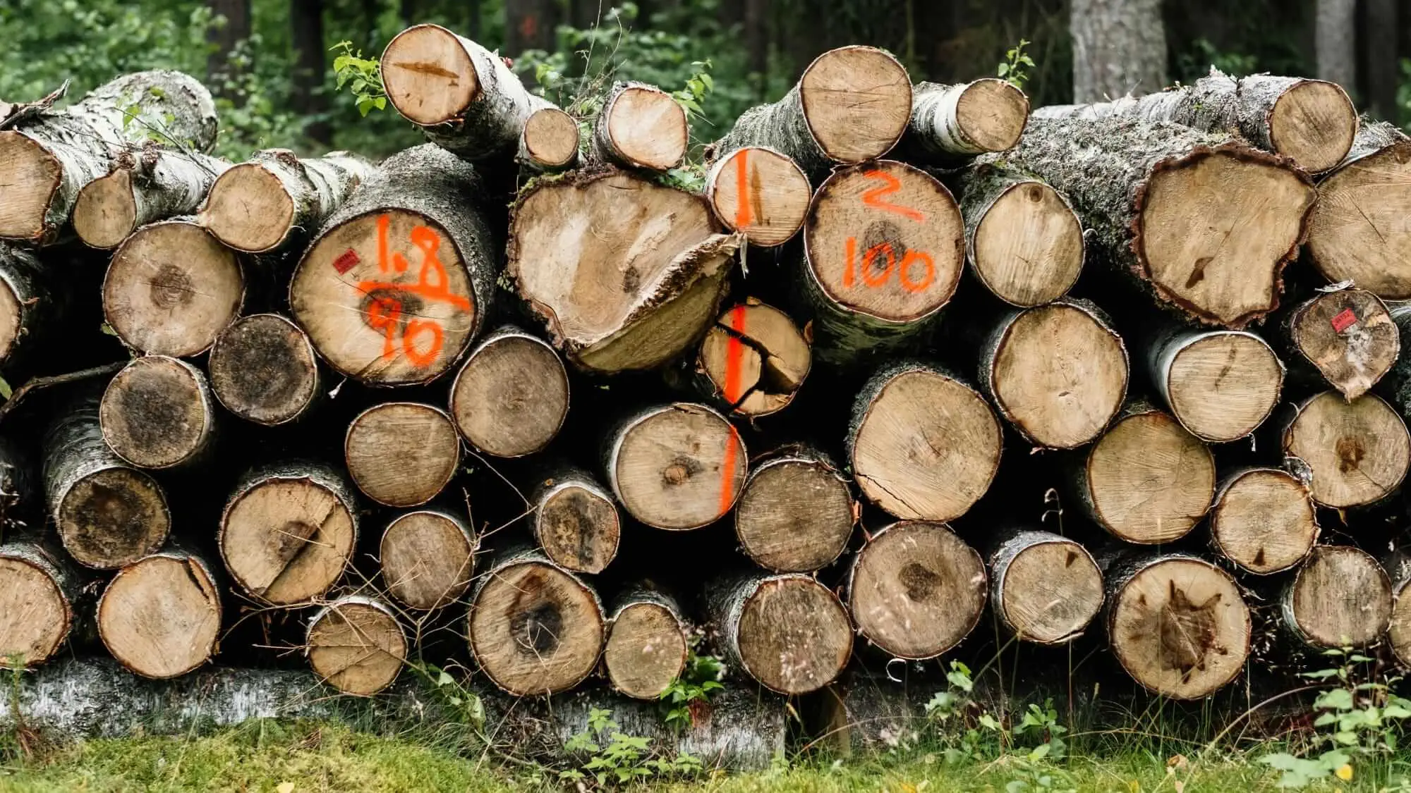 Logging