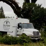 Tree Service Near Me