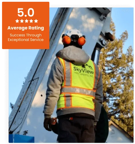 Commercial Tree Service