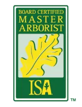 Master arborist