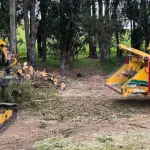 Pile of fallen branches and limbs after a Sonoma County storm