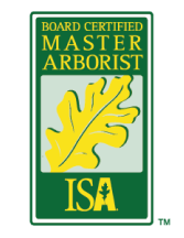 Master arborist