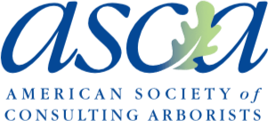 asca