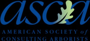 asca