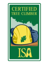 Certified Tree Climber