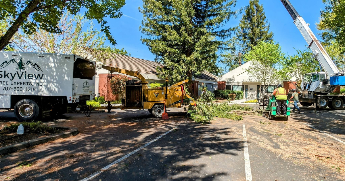 Tree Service Company