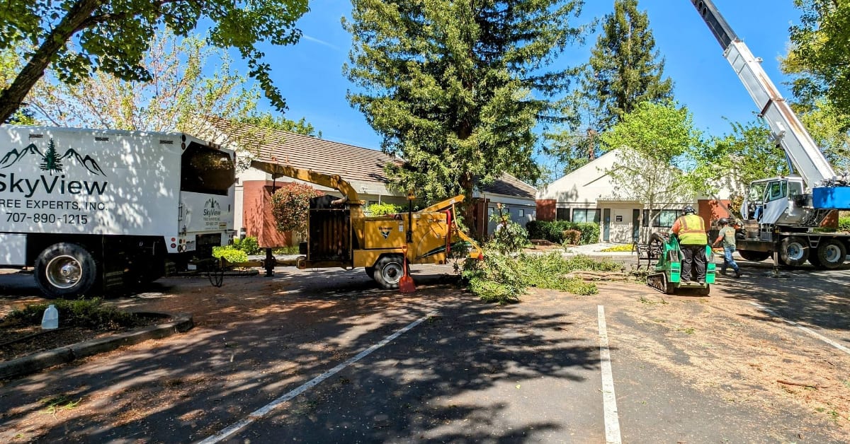 Tree Service Company