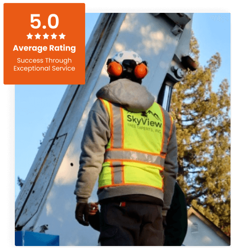 Commercial Tree Service